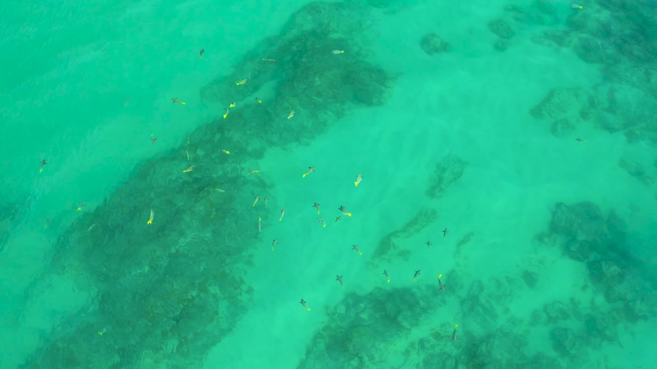Overhead Shipwrecks Beach water frame with a broad dark underwater formation, pale sand-toned bottom, scattered fish, and no visible people.
