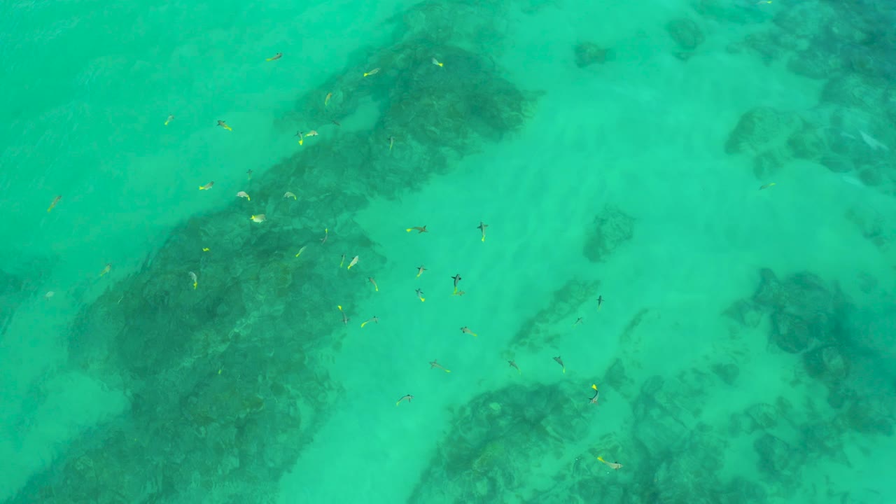 Green ocean surface at Shipwrecks Beach seen from above, with clustered submerged reef patches, tiny fish marks, and no visible people.