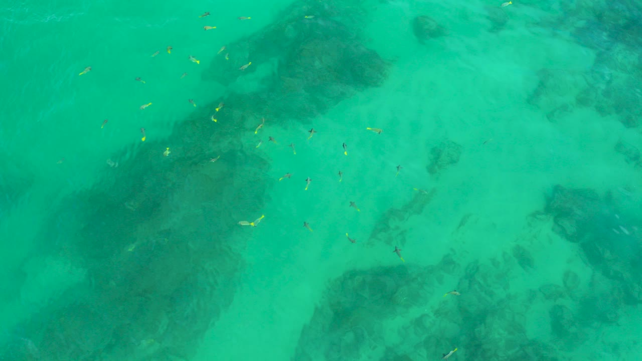 Clear light green water at Shipwrecks Beach shows dark submerged rock patches near the lower left and scattered small fish, with no visible people.