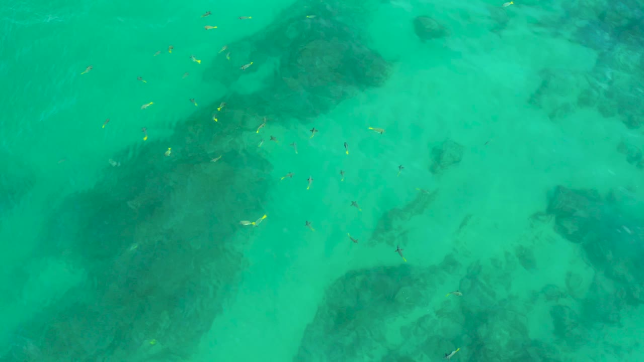 Small fish specks cross pale green water above soft dark underwater formations at Shipwrecks Beach, with no visible people.