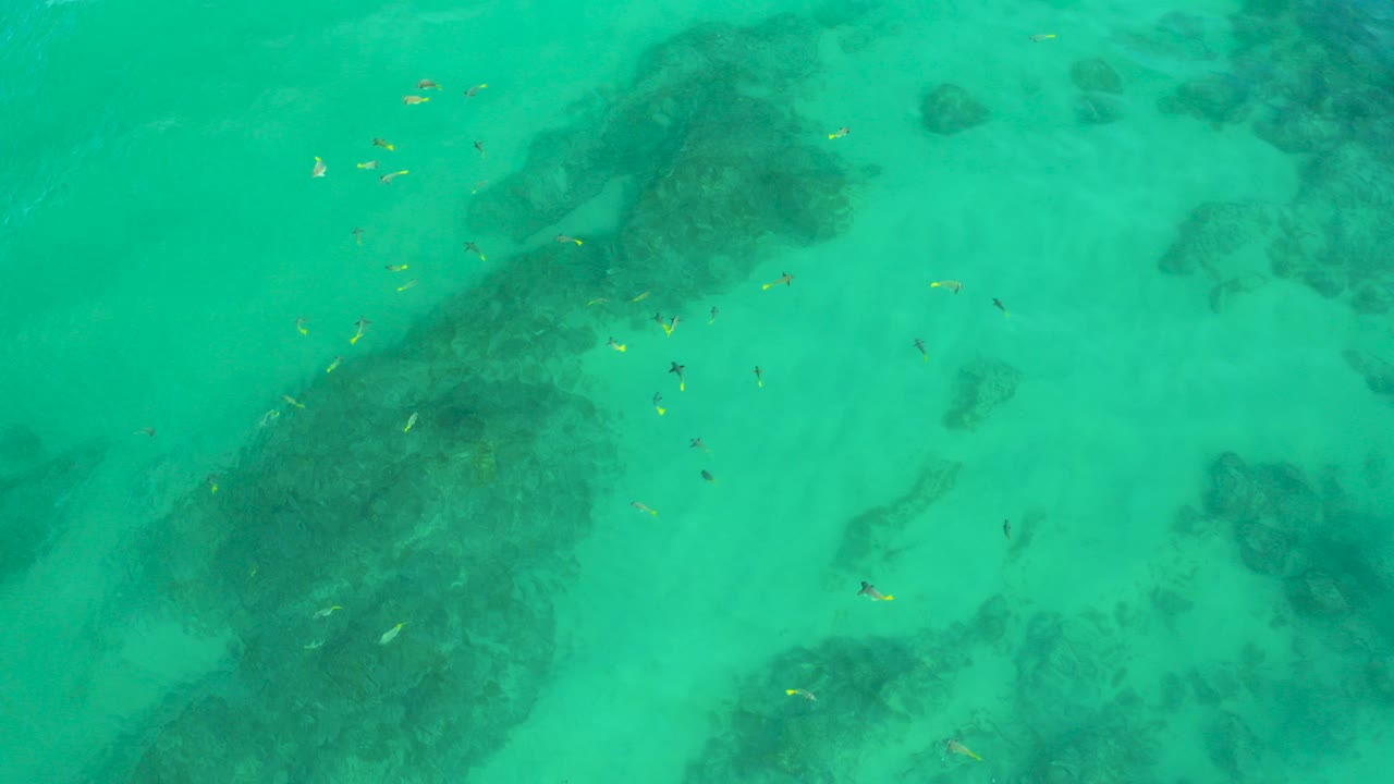 Top-down view of mint-green water over pale sand and dark submerged formations at Shipwrecks Beach, Mexico, with no visible people.