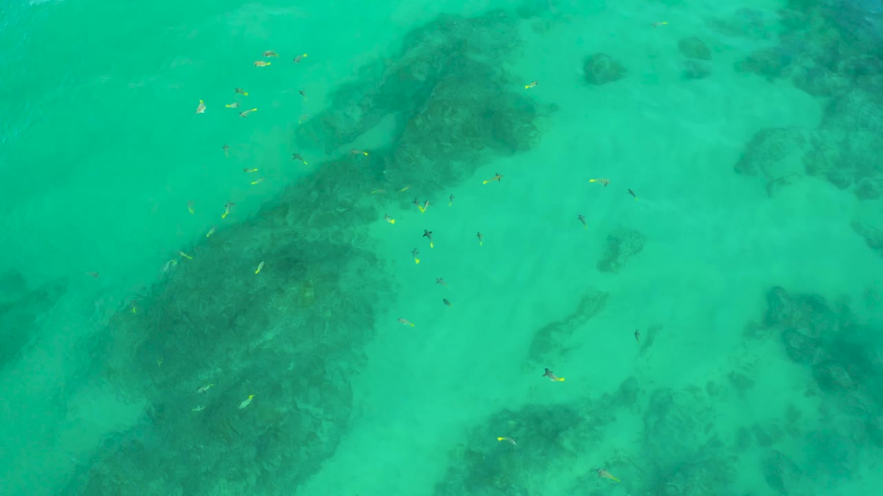 Aerial-looking frame of clear green water at Shipwrecks Beach, Mexico, with a broad dark patch crossing the lower half and no visible people.