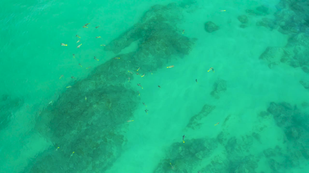 Overhead view of turquoise-green water and dark submerged areas at Shipwrecks Beach, Mexico, with small specks in the water and no visible people.