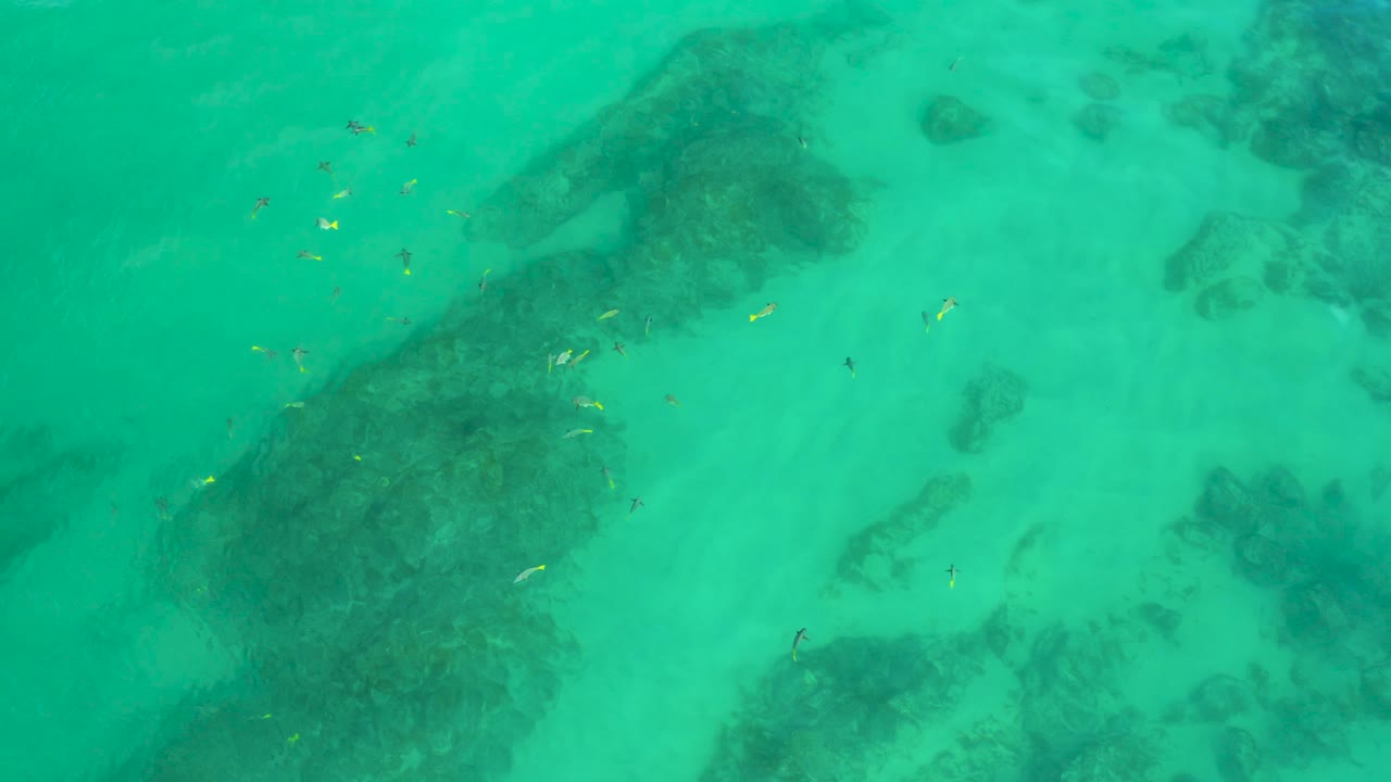 A top-down view at Shipwrecks Beach, Mexico, shows shallow green water, dark reef-like shapes, pale sand, and no visible people.