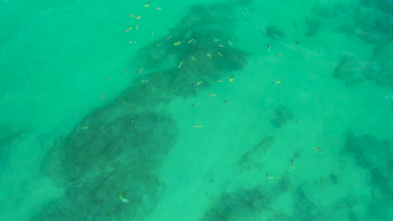 Tiny fish appear near the upper part of a turquoise overhead water view at Shipwrecks Beach, with dark underwater patches below and no visible people.