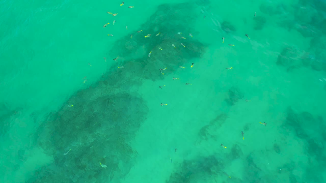 A loose cluster of small fish sits near the top of the Shipwrecks Beach water frame, with pale sand and broad dark underwater shadows visible beneath, no visible people.