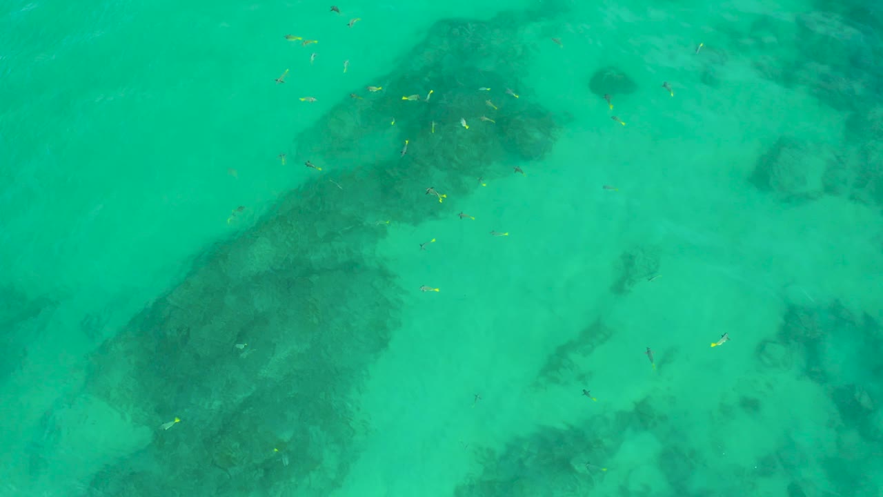 Small fish specks spread across the upper-left area of a blue-green Shipwrecks Beach water view, with mottled darker bottom shapes and no visible people.