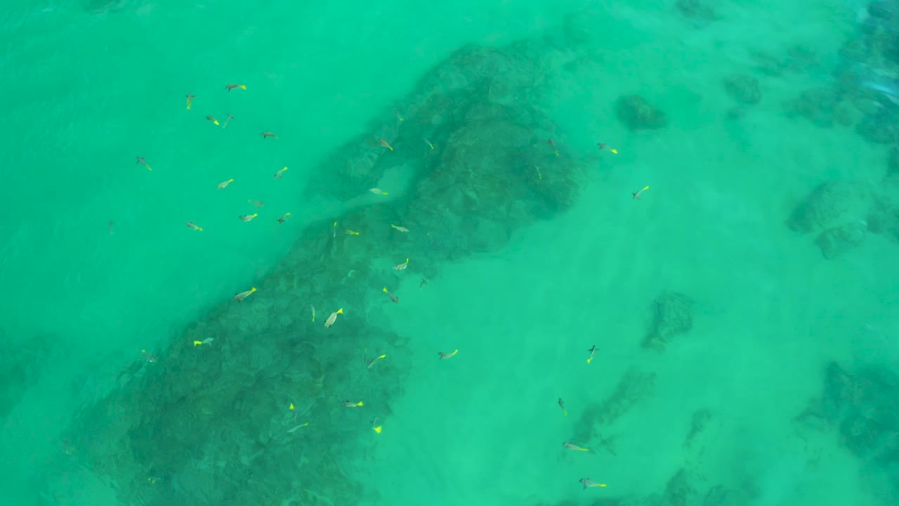 Clear green ocean water at Shipwrecks Beach, Baja California Sur, shows small yellow fish above shadowed reef shapes near the right side, no visible people.