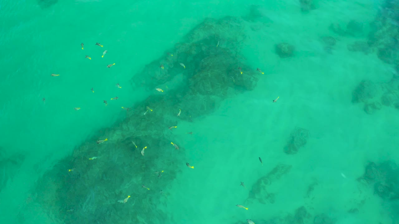 Green shallow water at Shipwrecks Beach, Baja California Sur, contains scattered tiny fish near dark reef patches across the left and lower frame, no visible people.