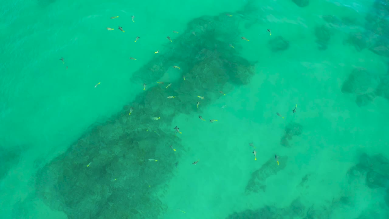 Turquoise shallows at Shipwrecks Beach show clusters of small fish crossing above a large dark underwater rock patch, with no visible people.