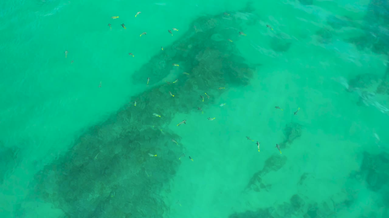 A high overhead frame at Shipwrecks Beach shows green water, reef shadows running diagonally through the view, scattered fish, and no visible people.