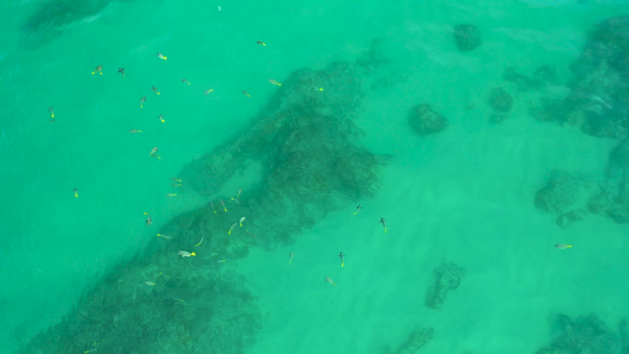 Opening overhead frame at Shipwrecks Beach shows transparent turquoise water, pale sandy bottom, scattered small fish, and dark submerged rock patches, with no visible people.