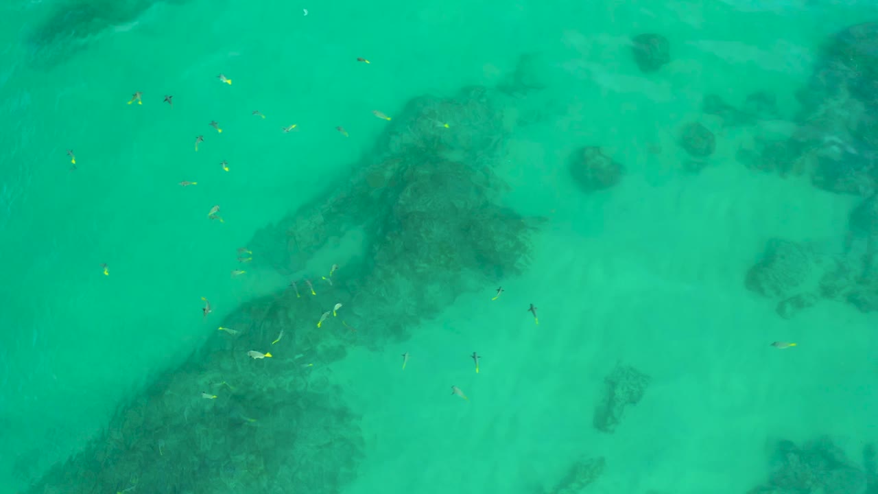 At 0:01, an overhead view at Shipwrecks Beach holds on clear teal water as small fish gather near a darker submerged formation over the sand, with no visible people.