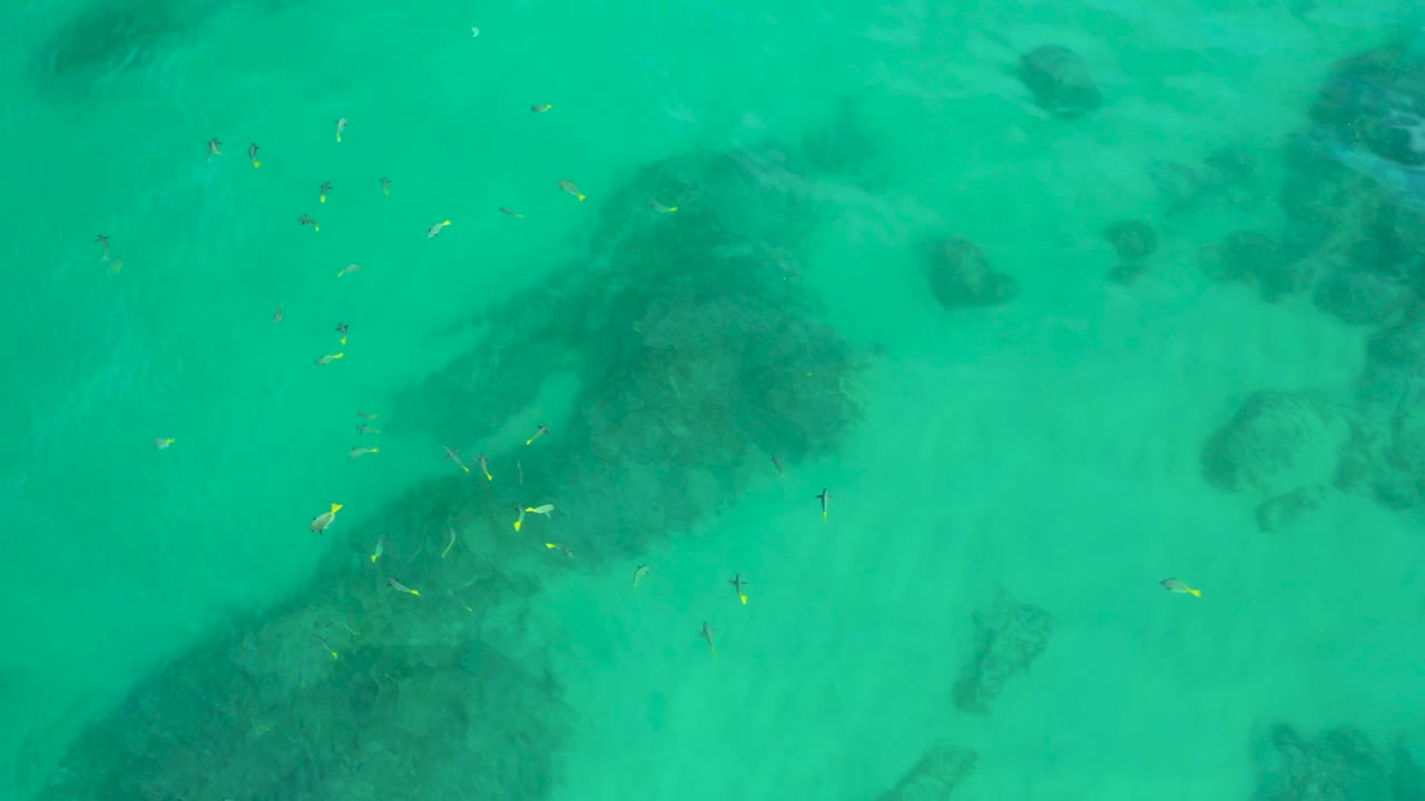 At 0:02, the Shipwrecks Beach shallows show scattered small fish crossing bright turquoise water around several dark underwater patches, with no visible people.