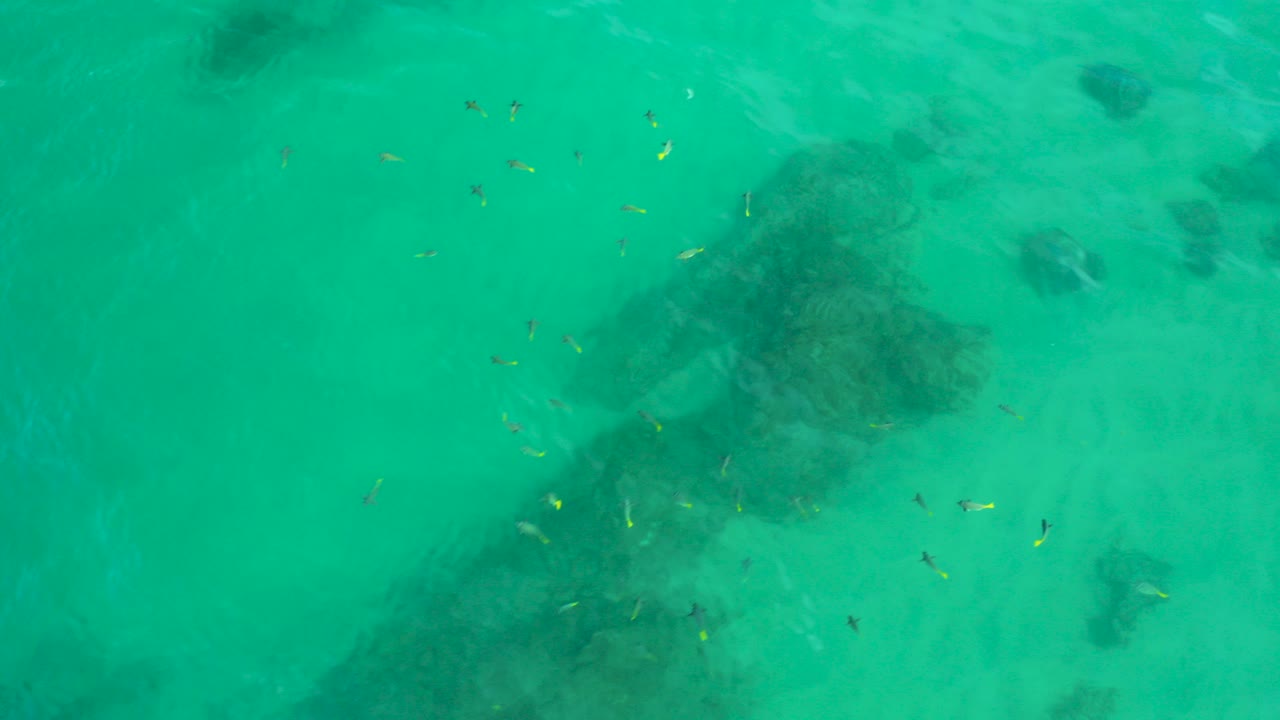 Overhead view at Shipwrecks Beach, Baja California Sur, showing small fish scattered over turquoise shallow water and dark submerged patches, with no visible people.