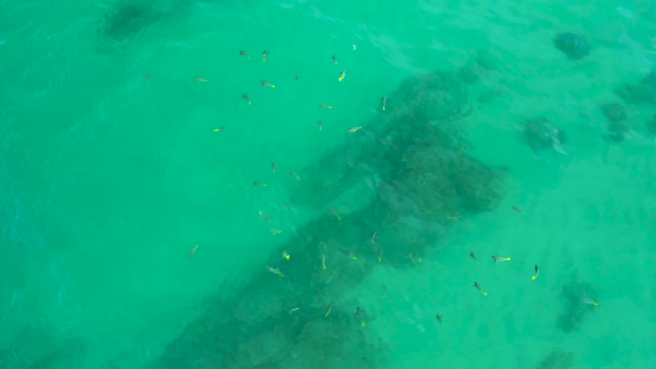 Aerial frame from Shipwrecks Beach with fish clustered around a broad dark underwater patch in green-blue sea water, with no visible people.