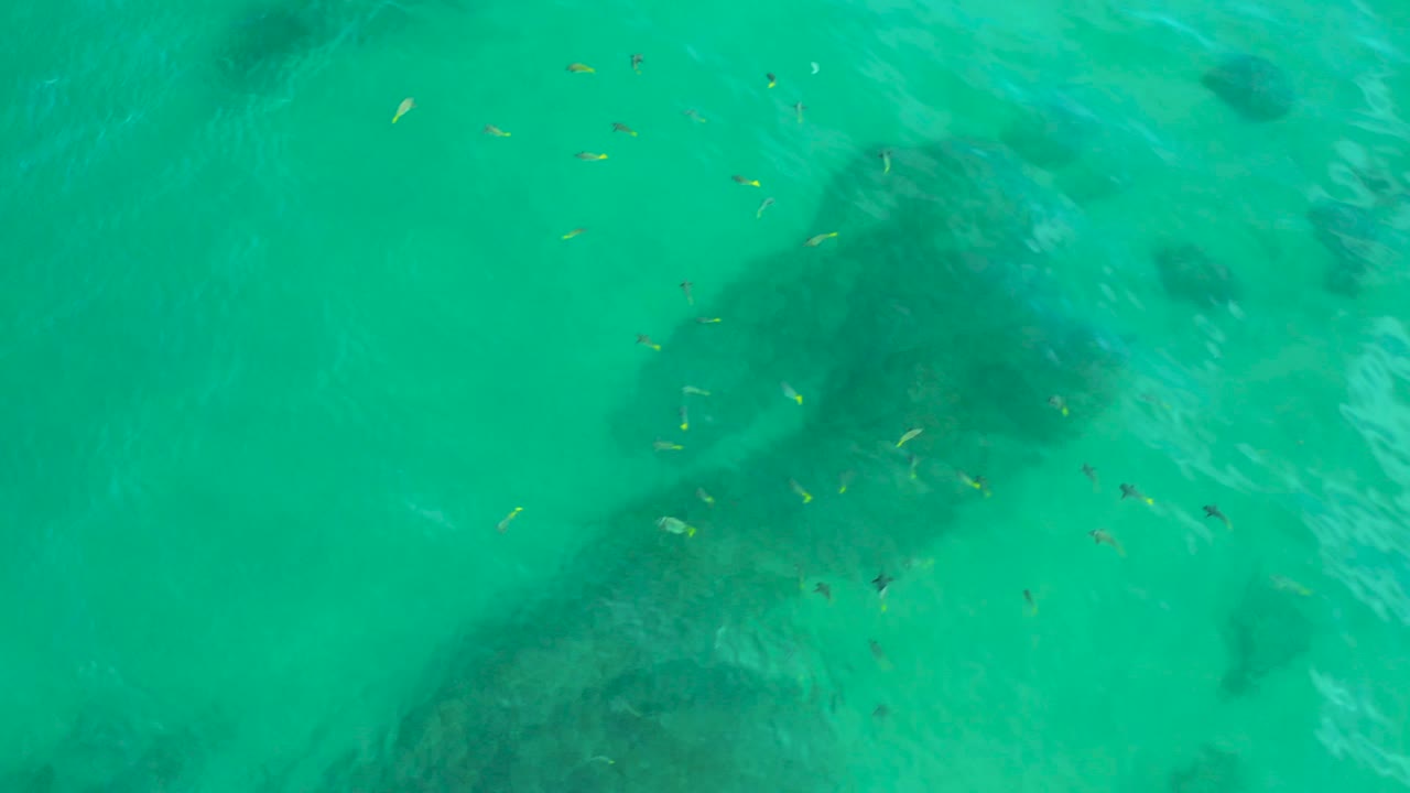 Top-down view at Shipwrecks Beach showing scattered fish near several dark submerged formations beneath bright turquoise water, with no visible people.