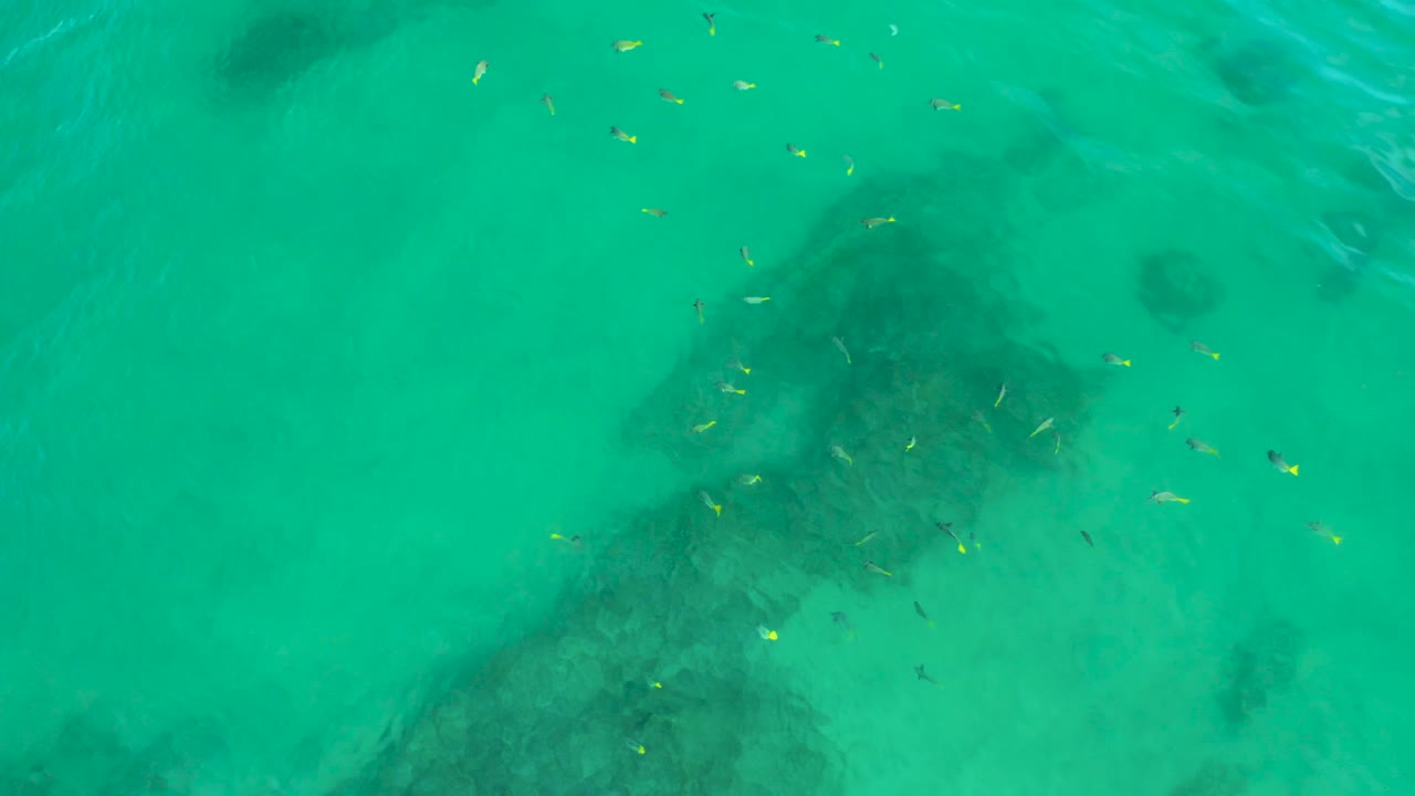 Overhead frame from Shipwrecks Beach with fish visible above a dark seabed patch and pale sand under green-turquoise water, with no visible people.