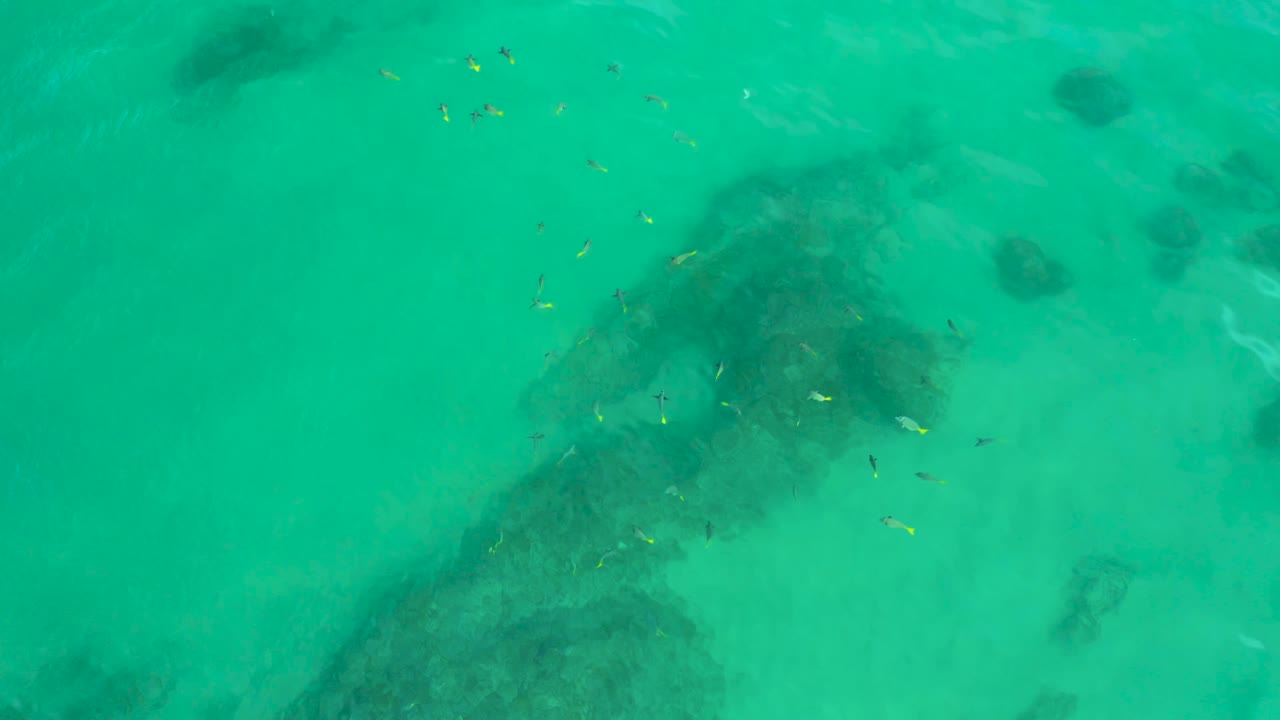 A straight-down frame at Shipwrecks Beach shows a loose cluster of small fish near the upper center, dark rock shapes below the water, pale sand, and no visible people.