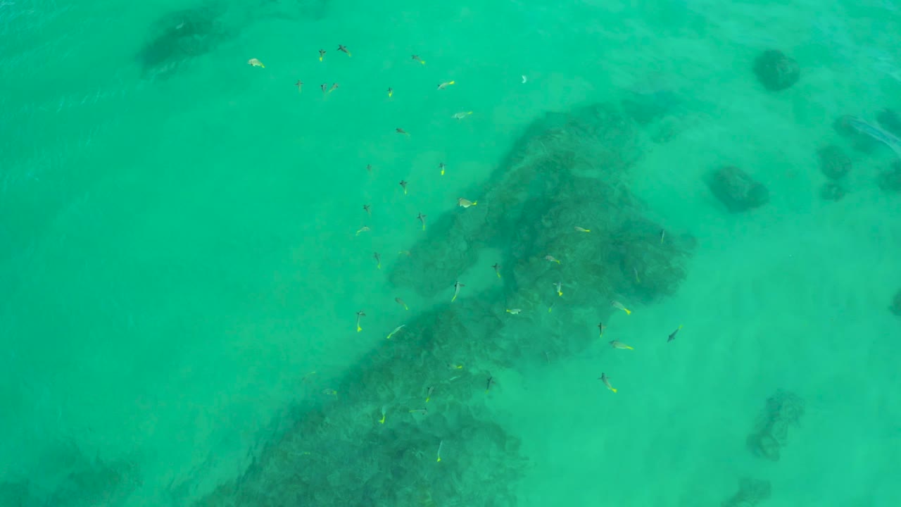 Top-down Shipwrecks Beach water shows the main dark rock mass shifted toward the right, small fish near the upper center, faint sand patterns, and no visible people.