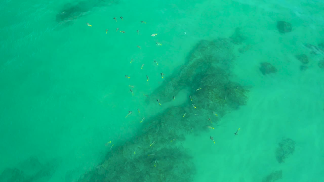 A cyan overhead view at Shipwrecks Beach captures scattered yellow and dark fish above a broad submerged rock formation, with pale sand around it and no visible people.