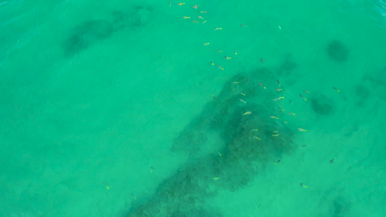 Turquoise shallow sea with dark submerged rock and small fish
