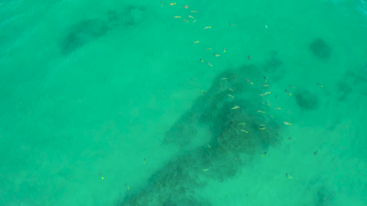 Aerial frame over clear turquoise water at Shipwrecks Beach, Baja California Sur, with small fish clustered above a dark underwater rock form, no visible people.