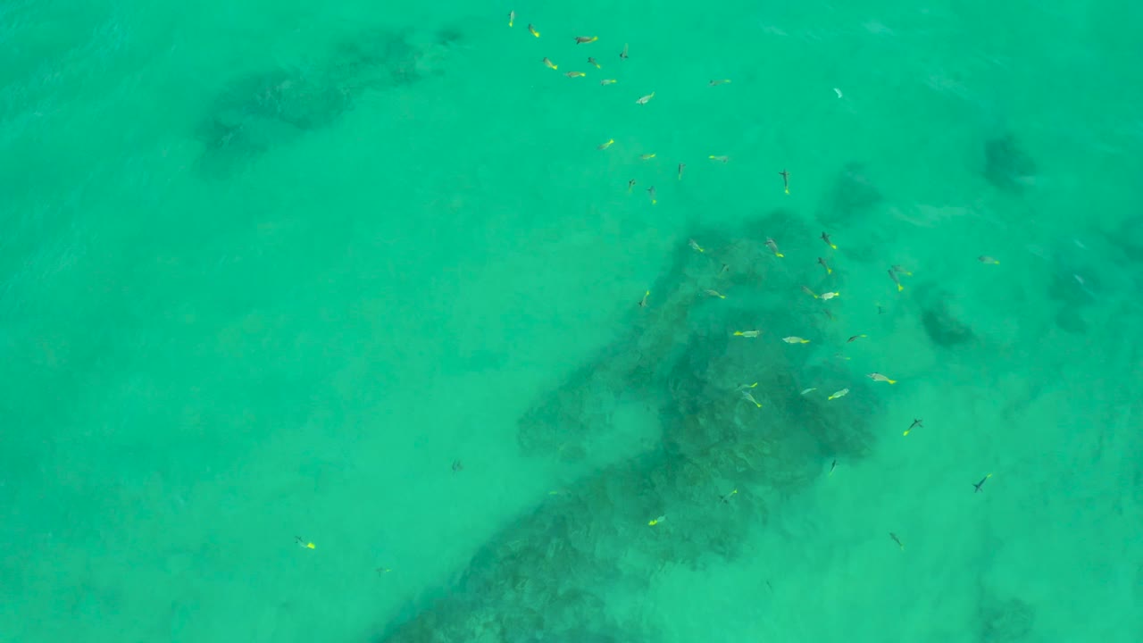 High overhead view at Shipwrecks Beach, Baja California Sur, showing green-blue shallow water, darker seabed patches, and small fish near the upper right, no visible people.