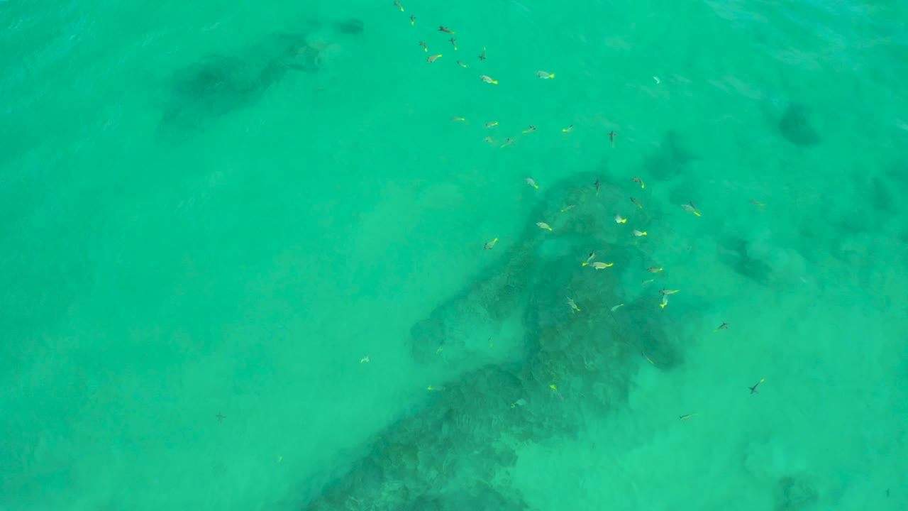 Overhead aerial view at Shipwrecks Beach, Baja California Sur, with a broad dark submerged rock shape, pale sand below the water, and small fish above it, no visible people.