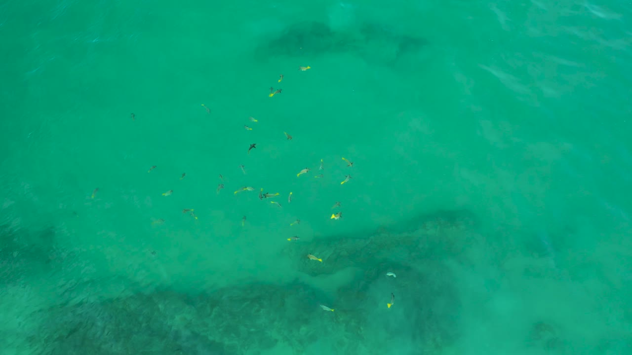 A top-down frame at Shipwrecks Beach shows scattered small fish crossing turquoise water above broad dark submerged rock forms, with no visible people.