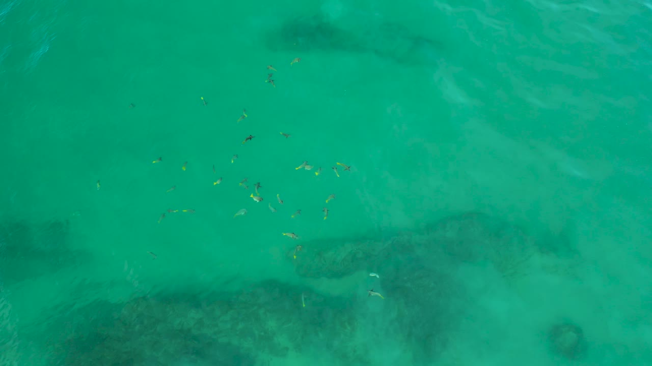A loose group of small fish appears in the left side of the blue-green water at Shipwrecks Beach, with muted underwater shapes and no visible people.
