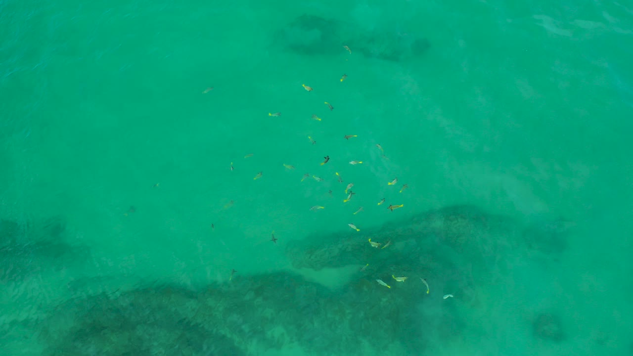 Turquoise shallow water at Shipwrecks Beach, Baja California Sur, with small fish over dark submerged rocks and no visible people.