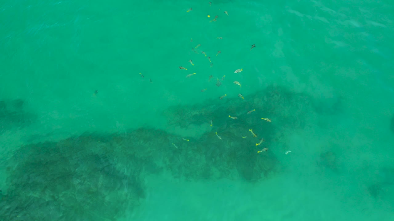 Top-down view of turquoise water at Shipwrecks Beach, Baja California Sur, with dark submerged rock patches, scattered small fish near the upper center, and no visible people.