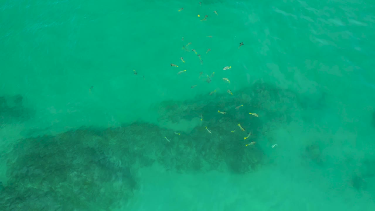 Clear blue-green water over submerged rocks with fish clustered near center.