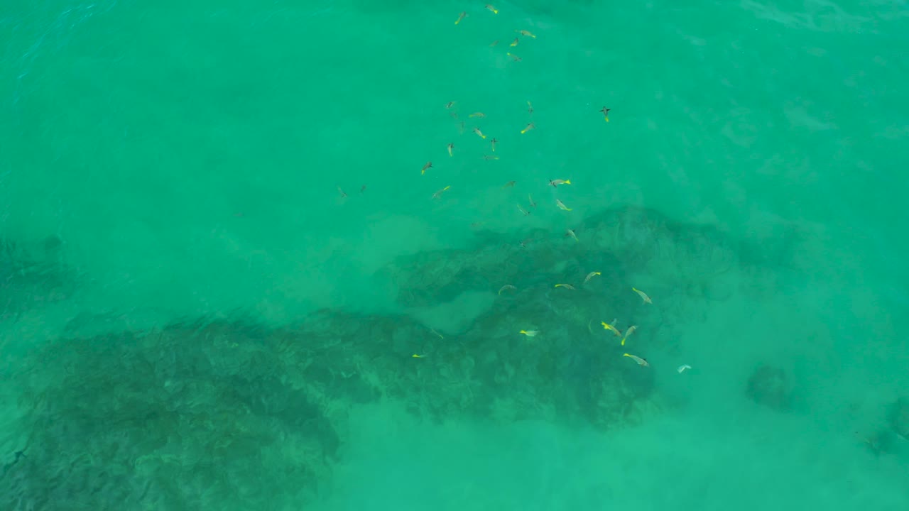 Turquoise water at Shipwrecks Beach, Baja California Sur, covers broad dark seabed patches while small fish appear around the center-right area, with no visible people.