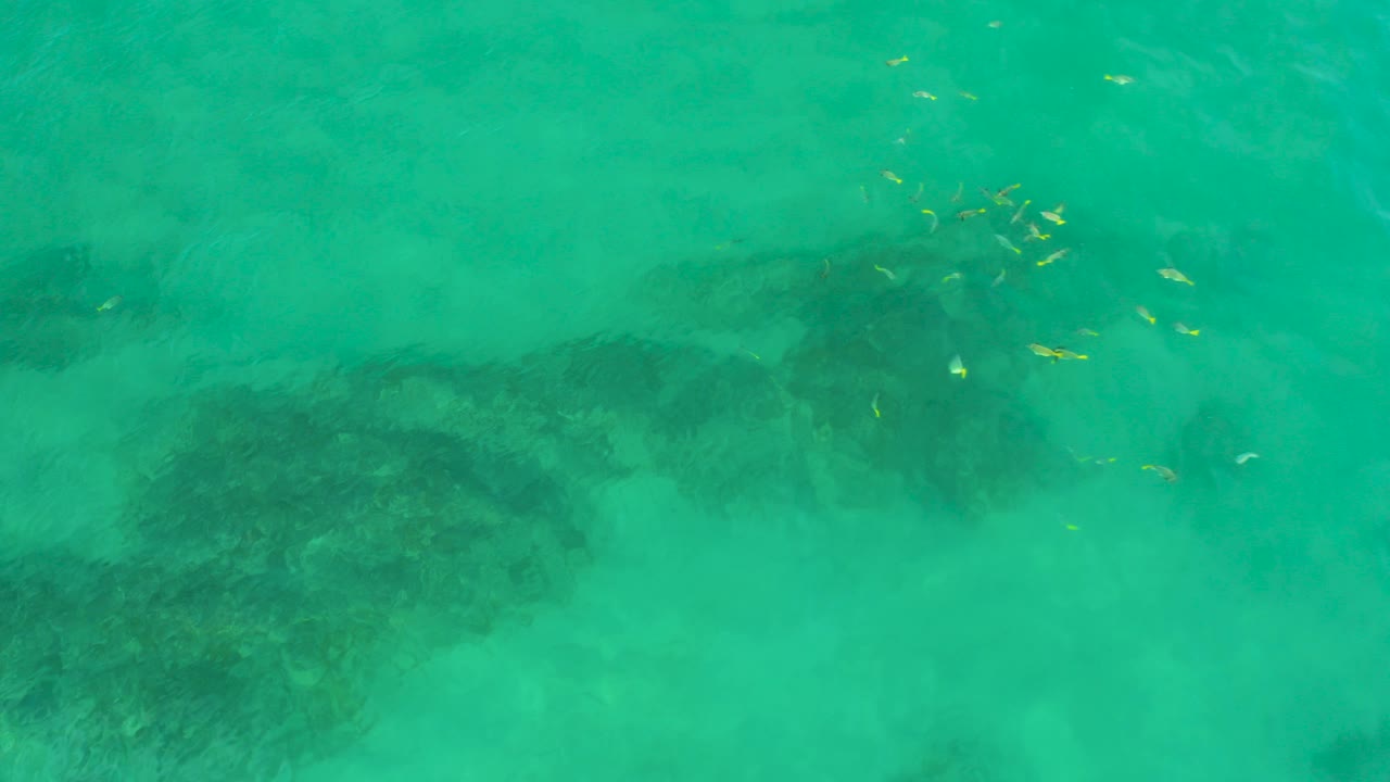 Overhead view at Shipwrecks Beach, Baja California Sur, showing turquoise water, dark submerged rock shapes, scattered yellow fish near the upper center, and no visible people.