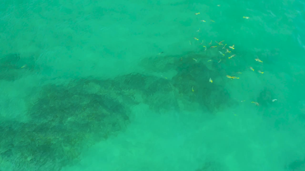 Aerial frame from Shipwrecks Beach with green-blue water, broad shadowed submerged rocks across the middle, a loose group of yellow fish near the upper area, and no visible people.