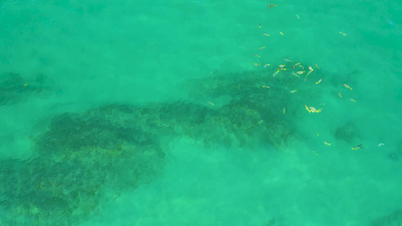 Shipwrecks Beach overhead view showing a darker underwater rock band through clear turquoise water, several yellow fish near the top third, and no visible people.
