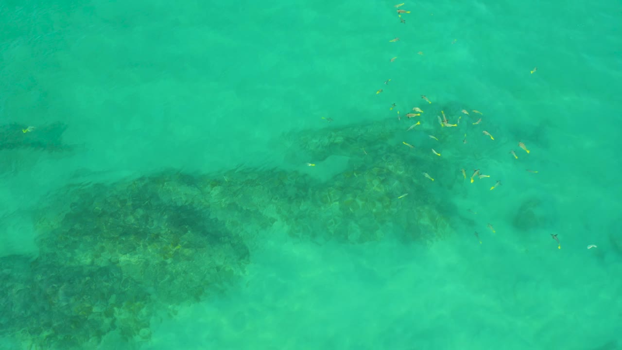 Overhead Shipwrecks Beach frame with a large dark submerged formation across the lower middle, yellow fish clustered toward the upper right, and no visible people.