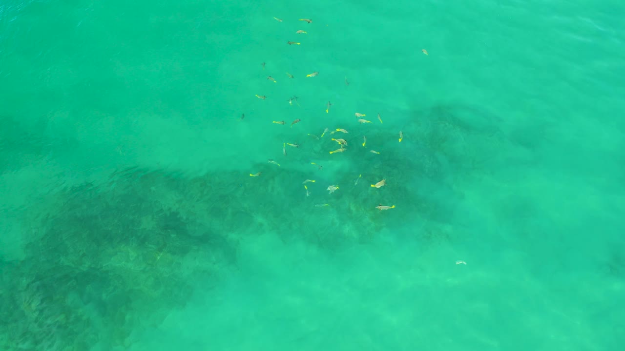 Overhead green-blue water with dark submerged patches and small floating debris.