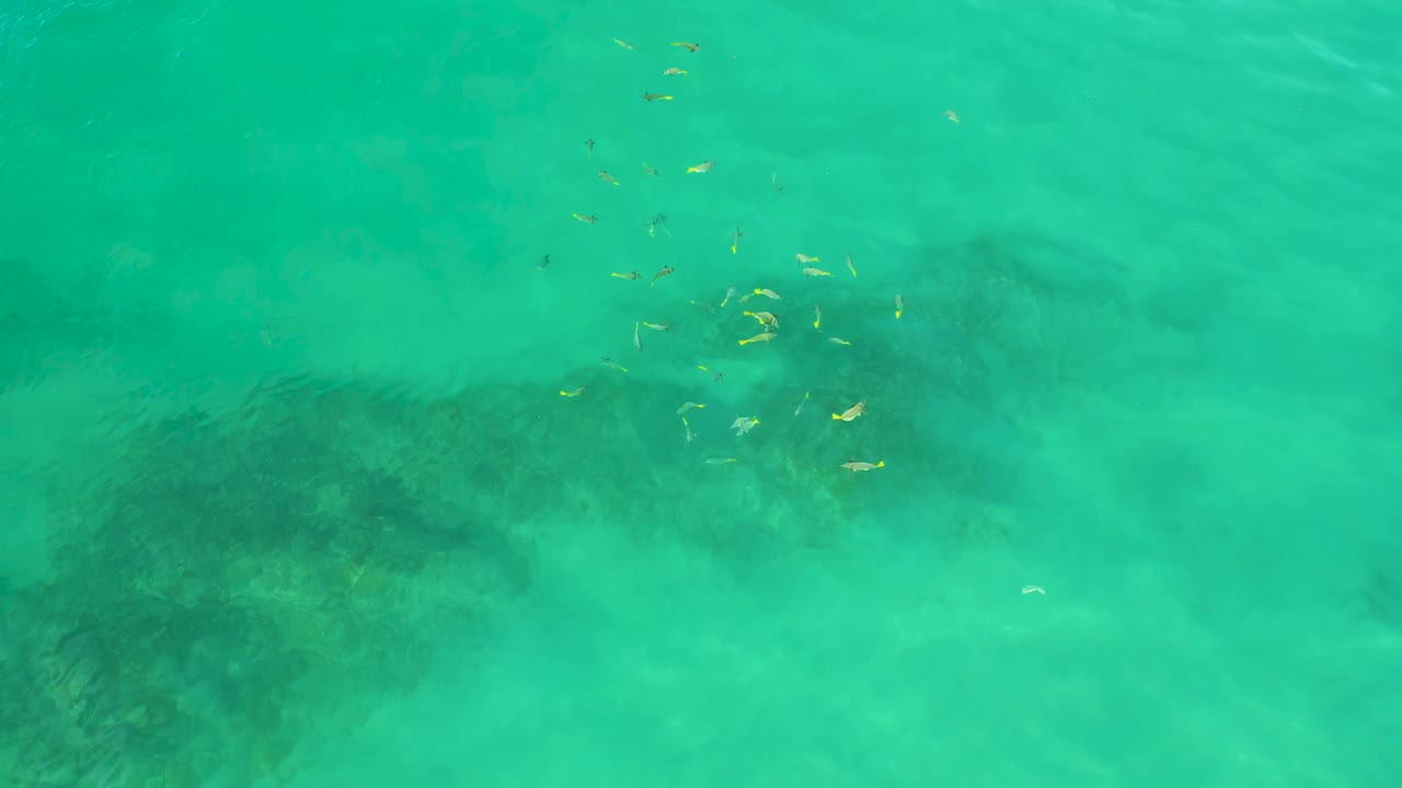 Green-blue water at Shipwrecks Beach fills the frame, with a larger dark submerged area lower left, light ripple lines across the surface, and no visible people.