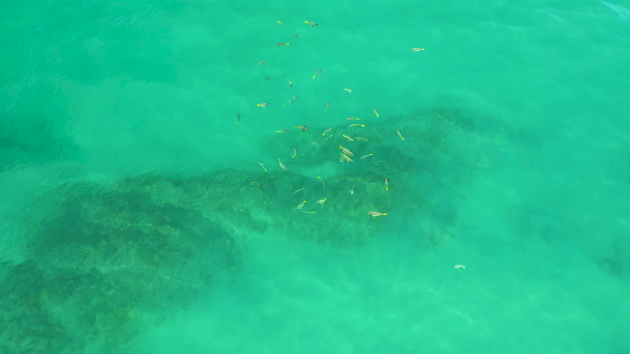 Overhead Shipwrecks Beach water shows a cluster of pale yellow floating debris near the right side, darker submerged patches below, and no visible people.