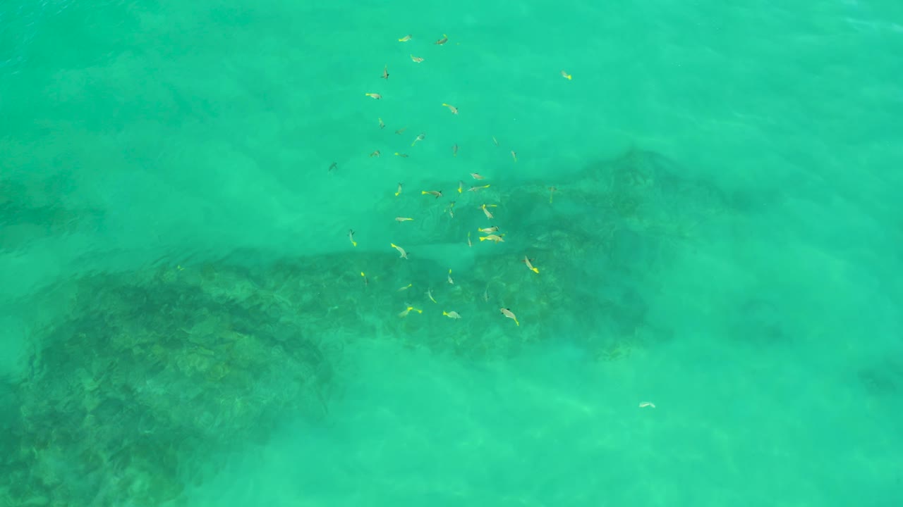 Greenish blue Shipwrecks Beach water appears slightly murky, with dark underwater patches across the lower half, small floating specks, and no visible people.