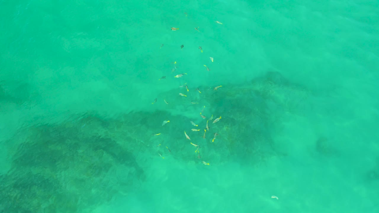 Overhead view of clear turquoise water at Shipwrecks Beach, Baja California Sur, with small fish near dark submerged rock patches and no visible people.