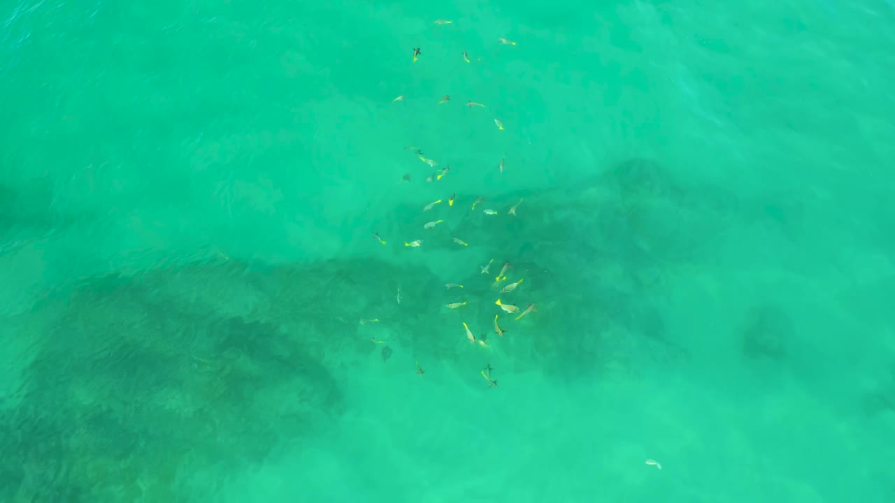 Clear shallow sea at Shipwrecks Beach, Baja California Sur, shows scattered small fish above a broad dark submerged rock patch, with no visible people.