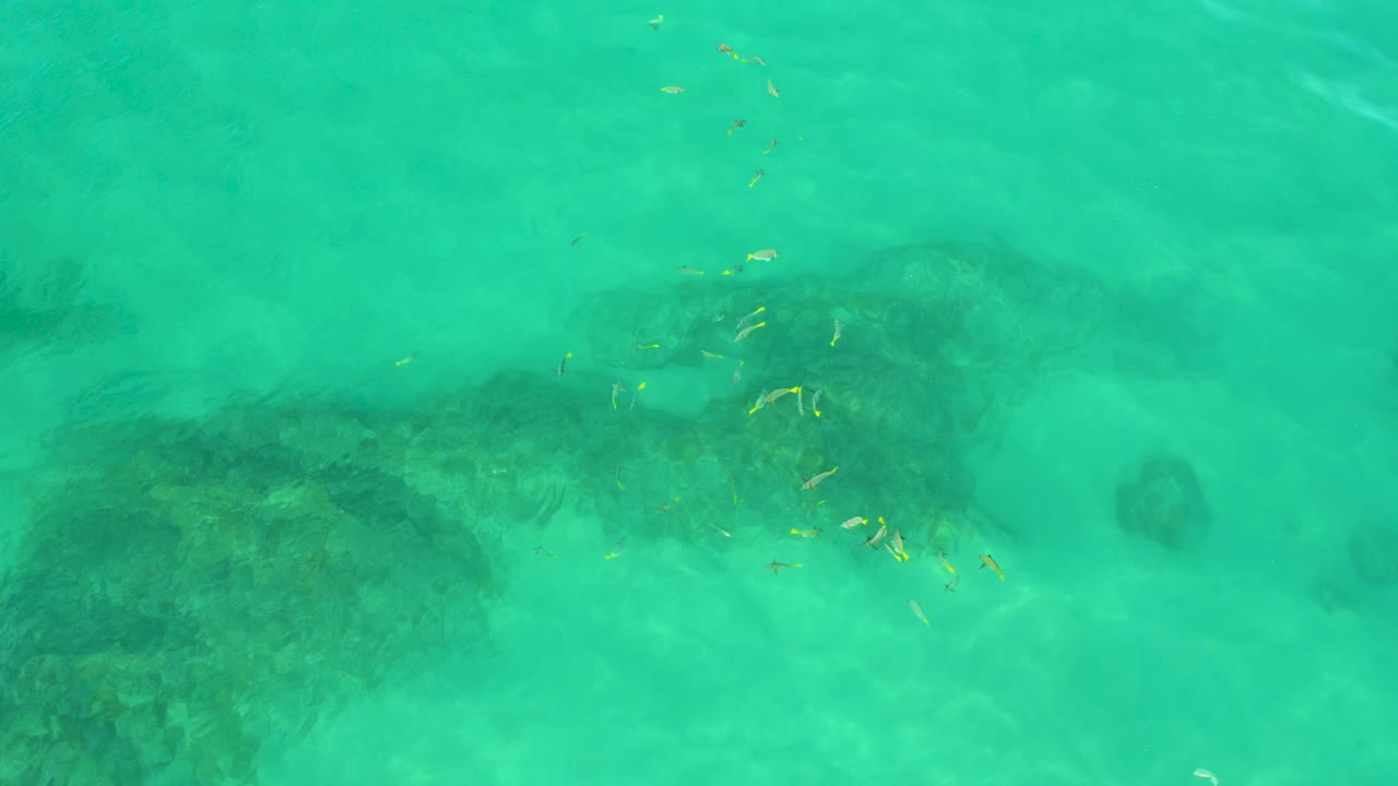 Turquoise shallow water over reef patches and small fish