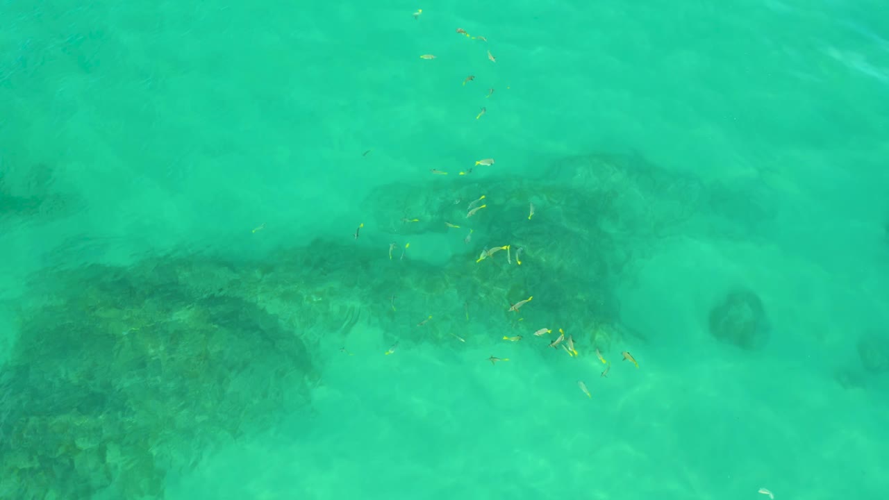 Turquoise underwater scene at Shipwrecks Beach with reef shadows across the lower frame, sandy bottom, scattered small fish near center right, and no visible people.