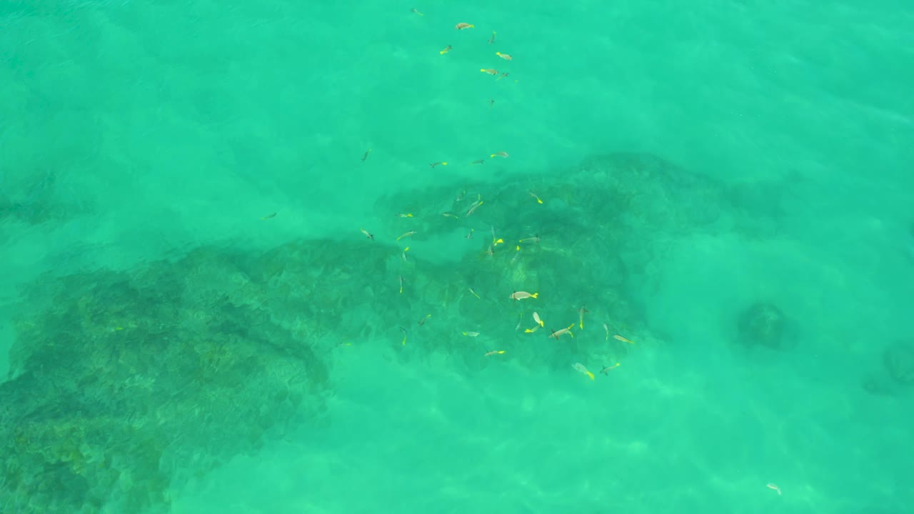 Overhead green-blue water view at Shipwrecks Beach with a large dark reef patch on the left, smaller rocks in the background, tiny fish near the upper center, and no visible people.