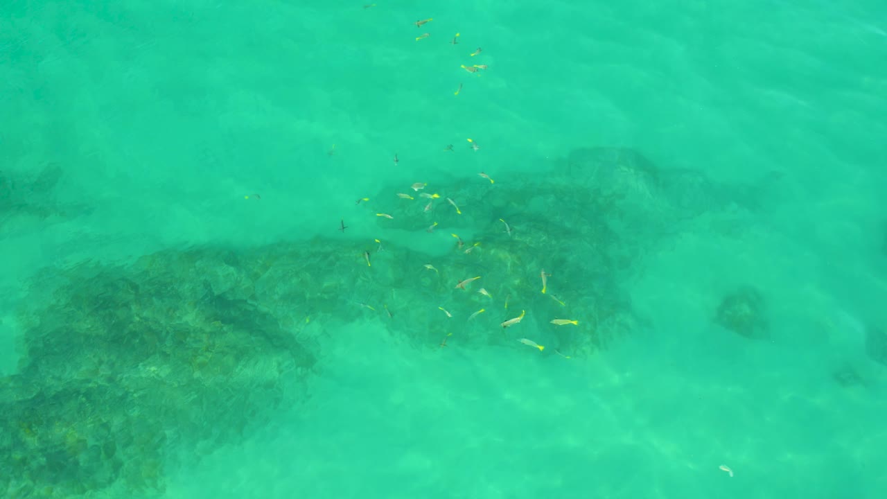 Shallow turquoise water at Shipwrecks Beach with soft foamy streaks, dark reef forms along the lower edge, a few small fish, and no visible people.