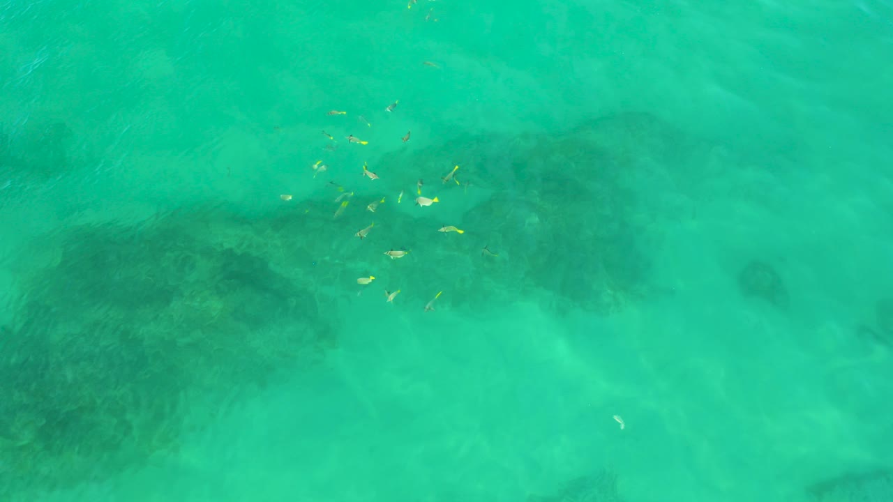 Overhead view of aqua-marine water at Shipwrecks Beach in Baja California Sur, with dark submerged reef patches, a loose group of small yellow fish near the upper center, and no visible people.